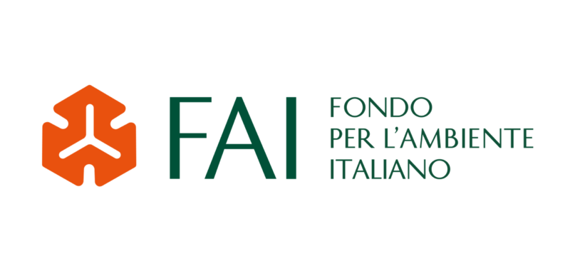 Logo FAI
