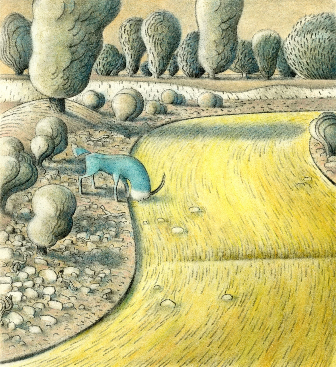 Cinque cieli - Corso di illustrazione online